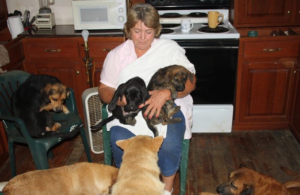 Confessions: Animal Hoarding