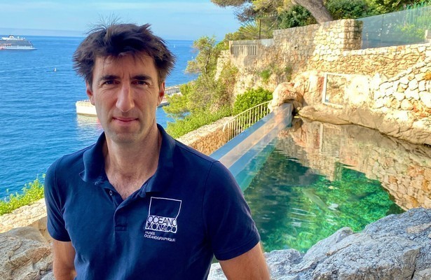 Côte d'Azur - Lebenslust an der französischen Riviera