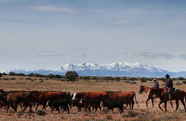 Cowboys und Indianer - Leben am Limit