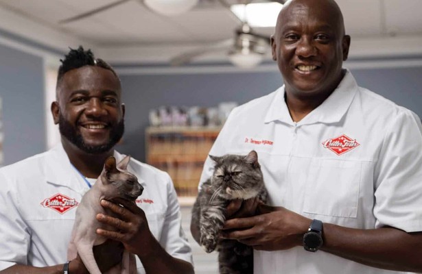 Critter Fixers: Country Vets: Cat Compilation