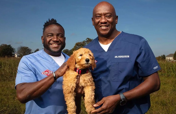 Critter Fixers: Country Vets: Compilations