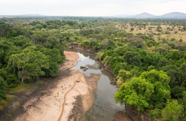 Croc wars: Grumeti vs. Mara