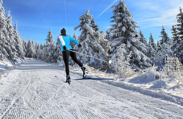 Cross-country Skiing