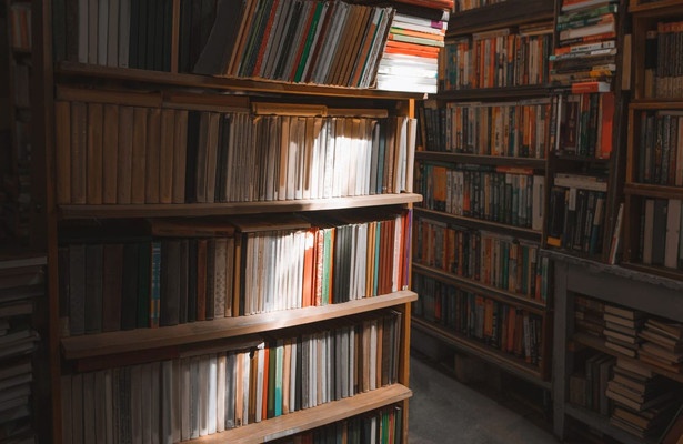 Dans la bibliothèque de