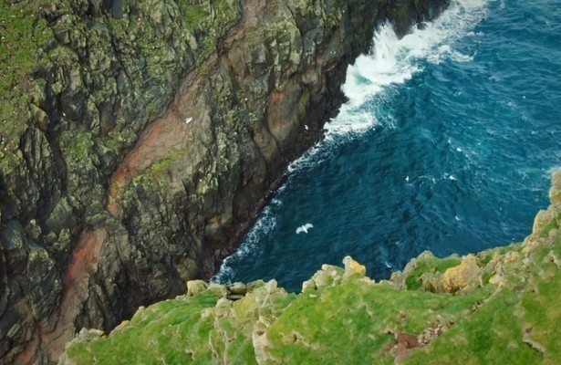 Das Ei - Aufbruch ins Leben