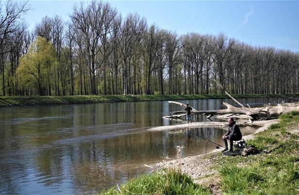 Das Rauschen der Isar