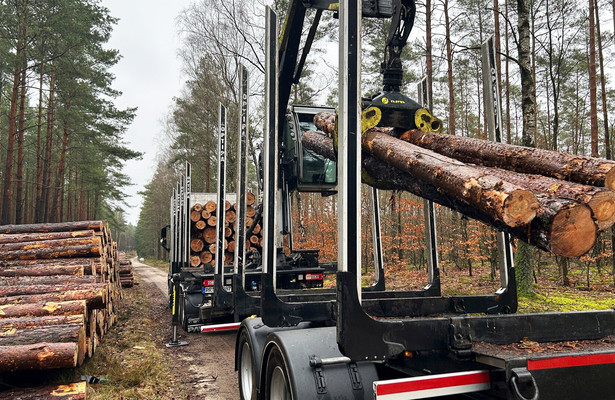 Dauerstress bei der Holzernte