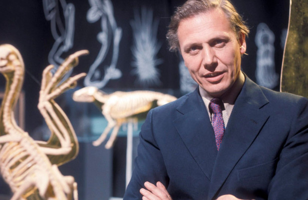 David Attenborough's 100 years on planet earth