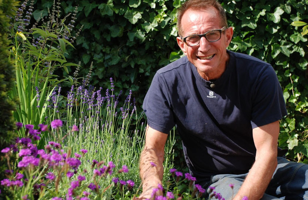 De grote tuinverbouwing