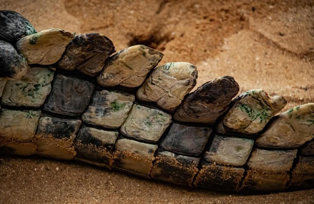 De Kimberley: Het Wilde Westen van Australië