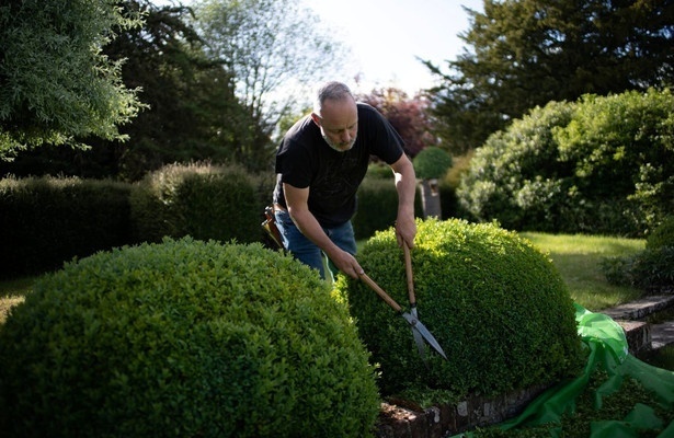 Der Gärtner, der Buddhist und der Spion