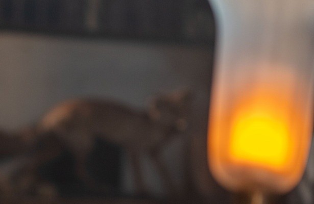 Der Geist im Glas