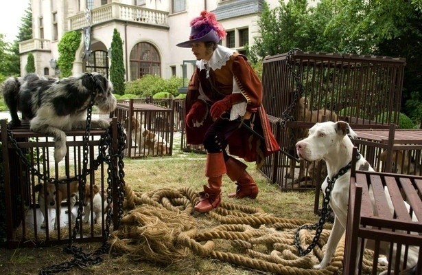 Der gestiefelte Kater