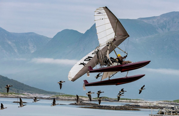 Der Junge und die Wildgänse