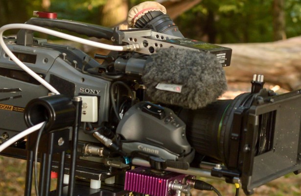 Der wilde Wald der Kaiserin