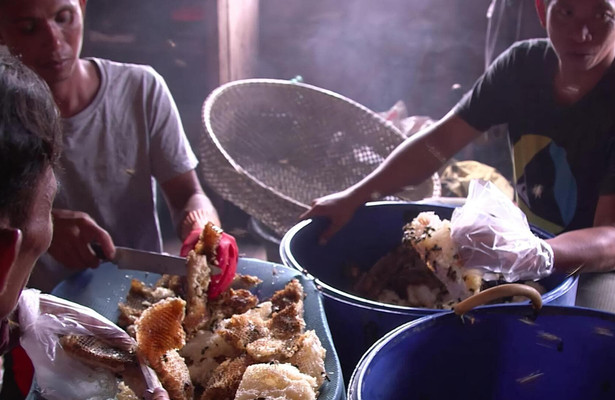 Die Bienenflüsterer