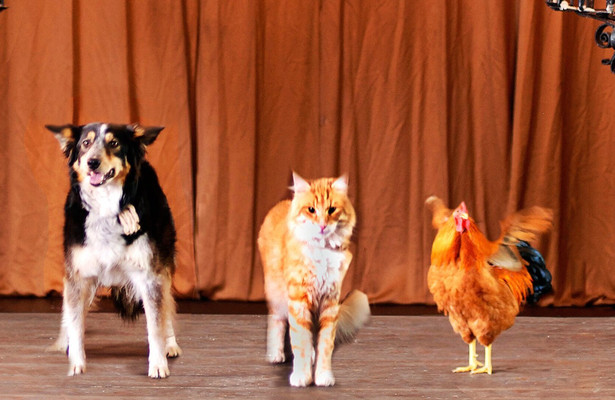 Die Bremer Stadtmusikanten