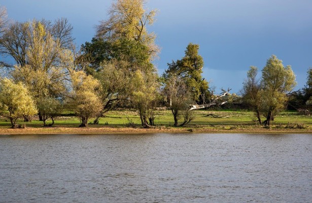 Die Elbmarsch entdecken - Zwischen Kuh-Weiden und Camping-Gefühl