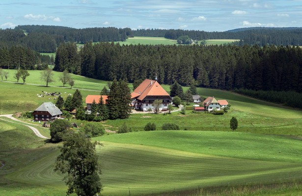 Die Fallers - Eine Schwarzwaldfamilie