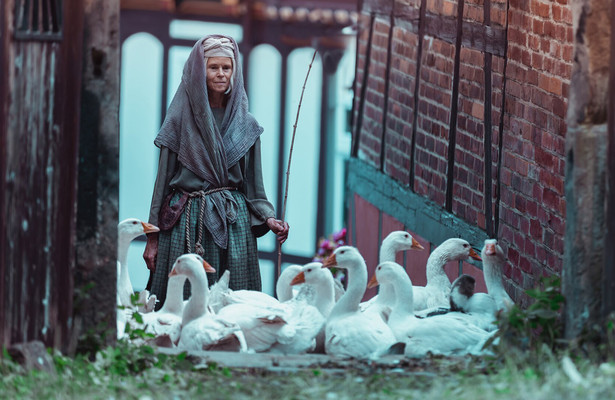 Die Gänseprinzessin