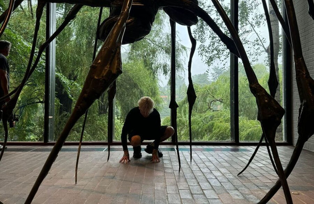 Die großen Frauen der Kunst