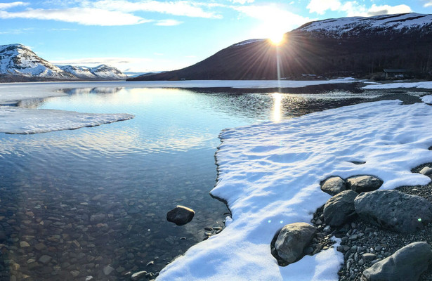 Die kleinen Giganten des Nordens - Das Geheimnis der Lemminge