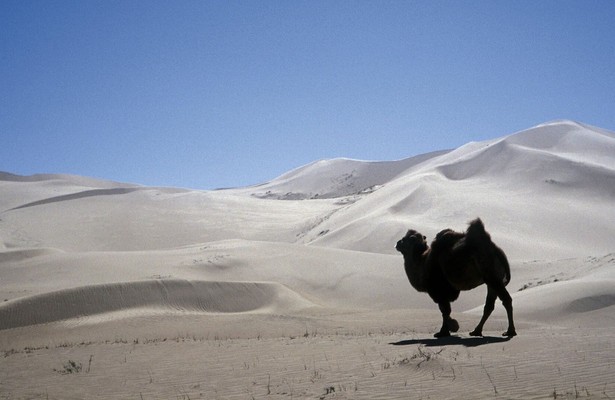 Die Magie der Mongolei