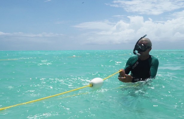 Die Meeresgärtner von Sansibar