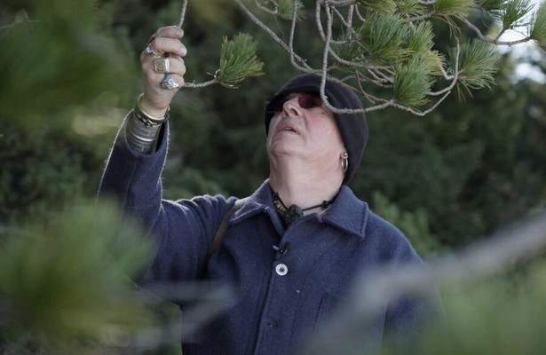 Die Schweiz - Der Geschmack der Berge