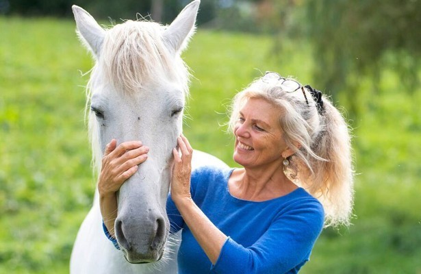 Die Tierärzte - Retter mit Herz