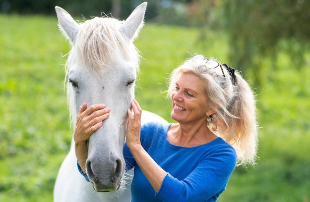 Die Tierärzte - Retter mit Herz