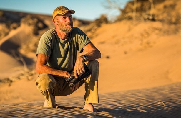 Die Wüstenlöwen der Namib