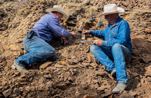 Dino hunters