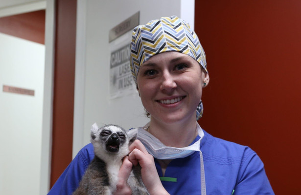 Dr. K's exotic animal ER