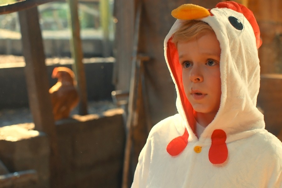 De Bellinga's: Vakantie op stelten