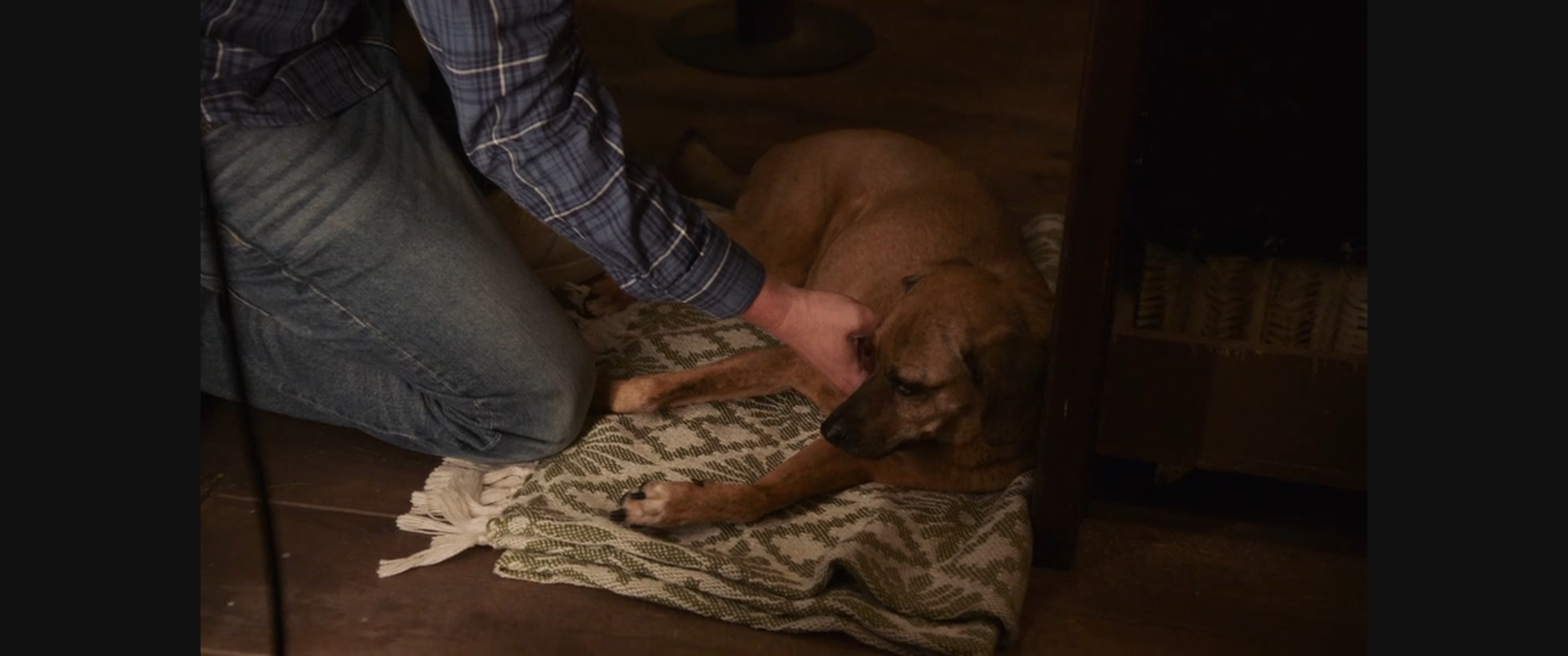 Dolly begint een grijs kinnetje te krijgen.