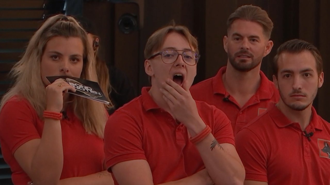 De Vossen in cyclus 20 - De Bondgenoten