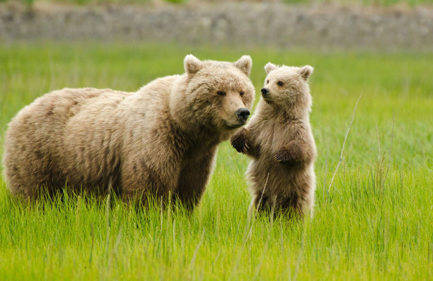 Earth's seasonal secrets