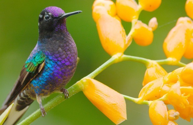 Ecuador, Hotspot der Artenvielfalt