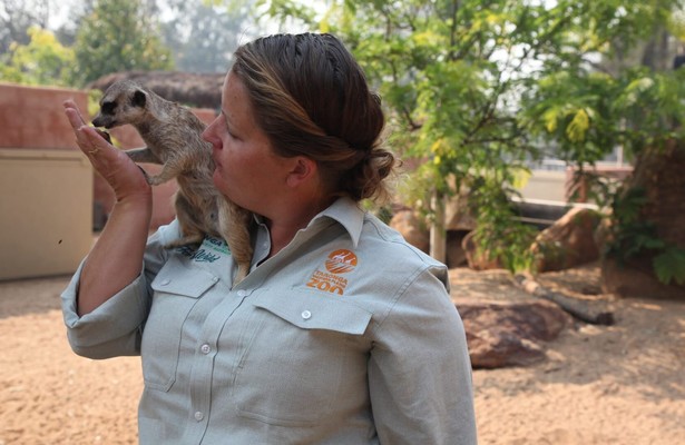 Een dag in de dierentuin