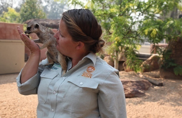 Een dag in de dierentuin
