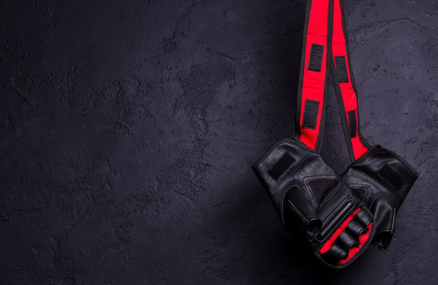 EFC - Extreme Fighting Championship