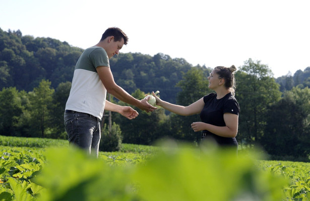 Ein Stück Österreich: Das Vulkanland