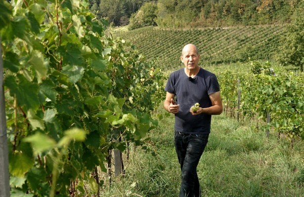 Ein Stück Österreich: Die Südsteiermark im Jahresverlauf
