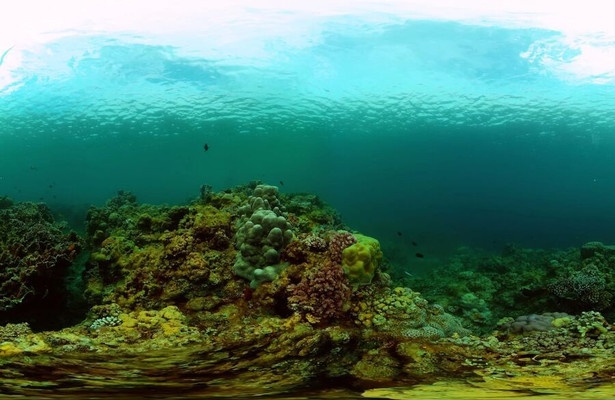 Re: Ein Team, eine Mission, fünf Wochen im Atlantik