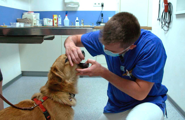 Eine Straße, viele Geschichten - Die 