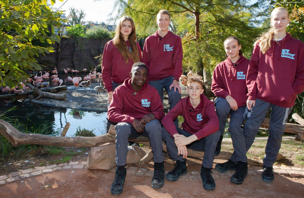 Elefant, Tiger & Kids