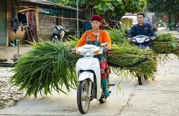 Entlang der Happiness Road - In den Bergen Vietnams