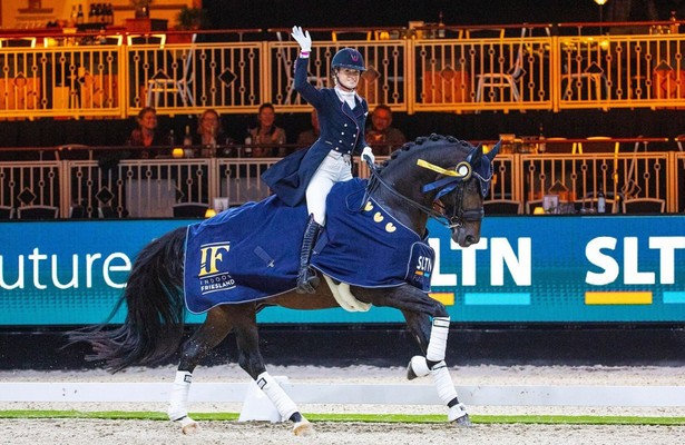 Equestrian Sport: Indoor Friesland