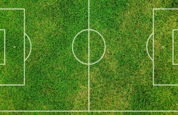 Voetbal - WK-kwalificatie (v): Polen - Nederland